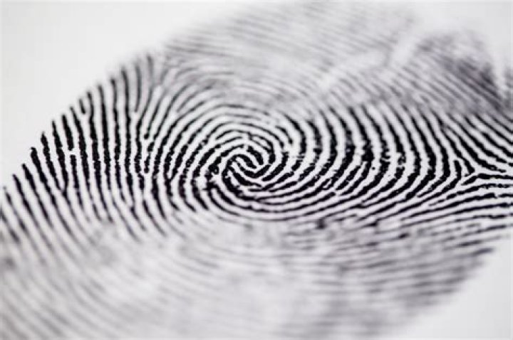 Are all 10 of your fingerprints the same?