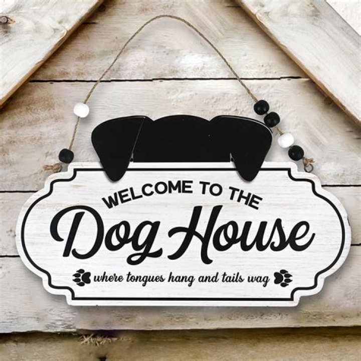 Are dogs welcome in Italy?