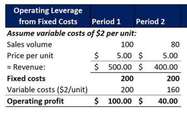 Are operating costs variable or fixed?