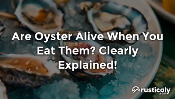 Are oyster alive when you eat them?