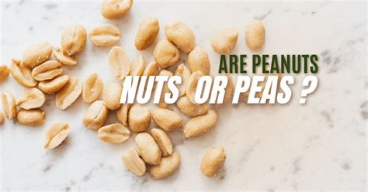 Are peanuts nuts or peas?
