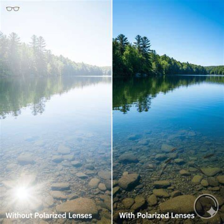 Are polarized lenses worth it?
