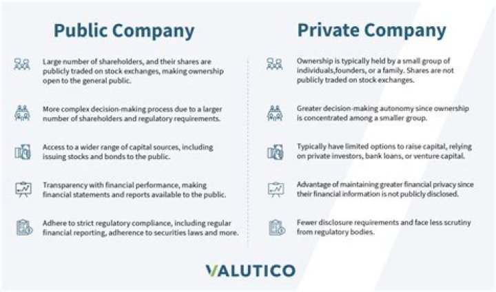 Are private company profits public?
