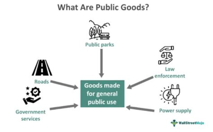 Are public goods Underprovided?