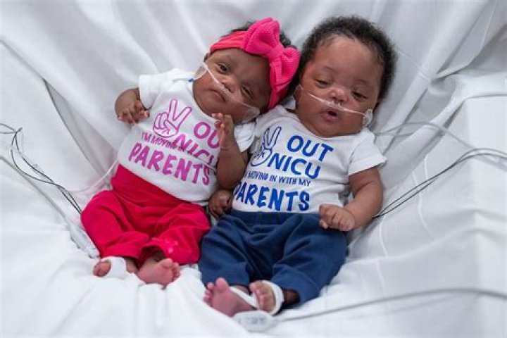 At what week do twins form?