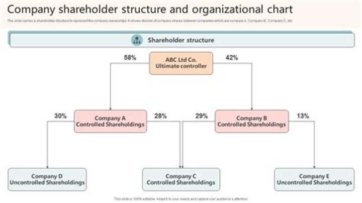 Can a company make a loan to a shareholder?