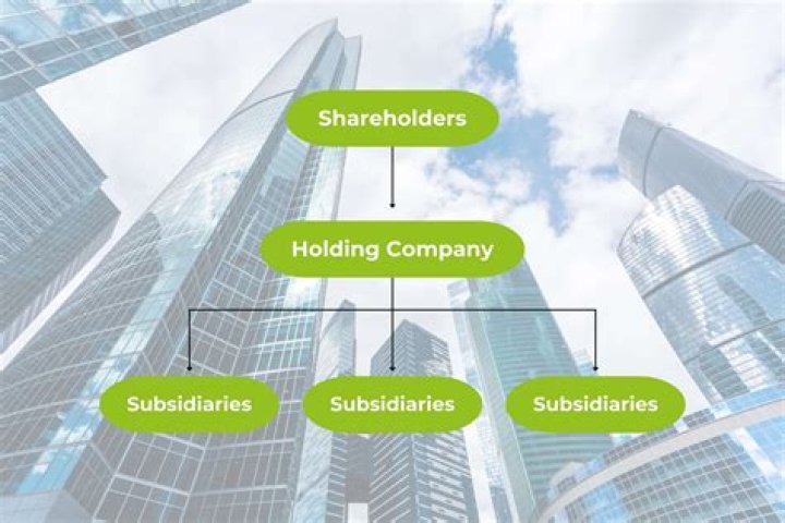 Can a holding company be incorporated?