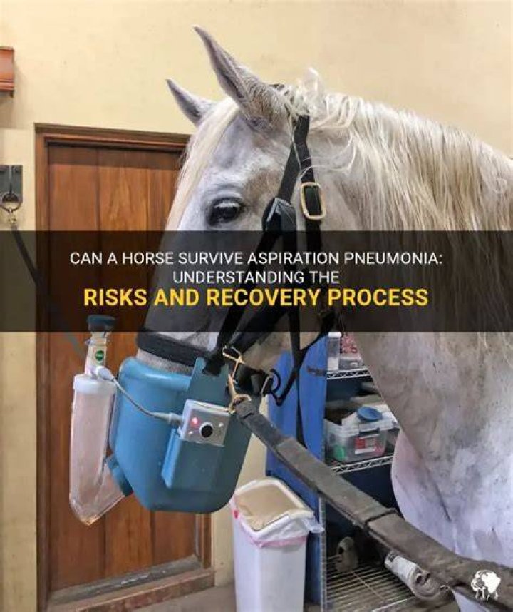 Can a horse survive a snake bite?