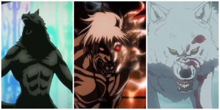 Can a Metamorphmagus become a werewolf?