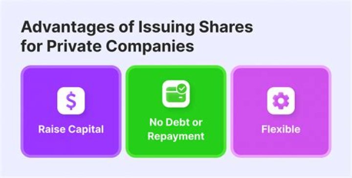 Can a Private Company issue debentures to public?
