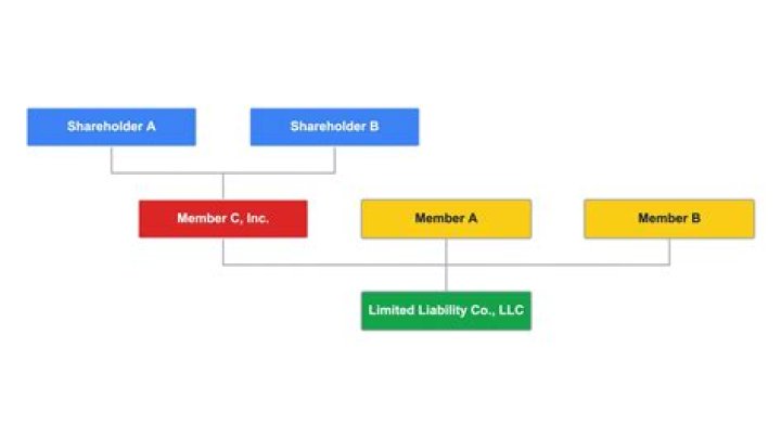 Can an LLC just have one member?
