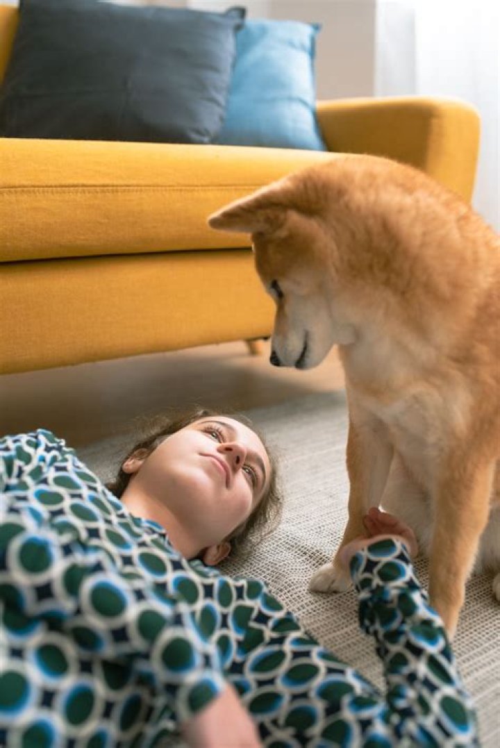 Can I come back after getting PR card?