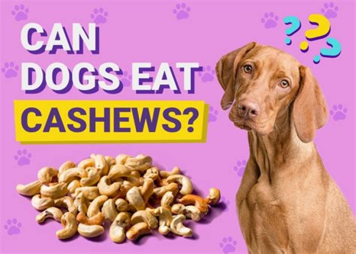 Can I eat cashews on low-carb diet?