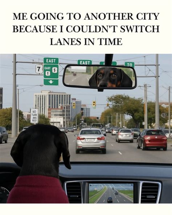 Can I move to another city with my child?