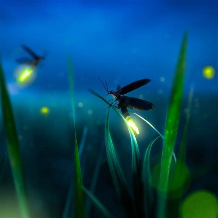 Can I use my S corp to buy stocks?