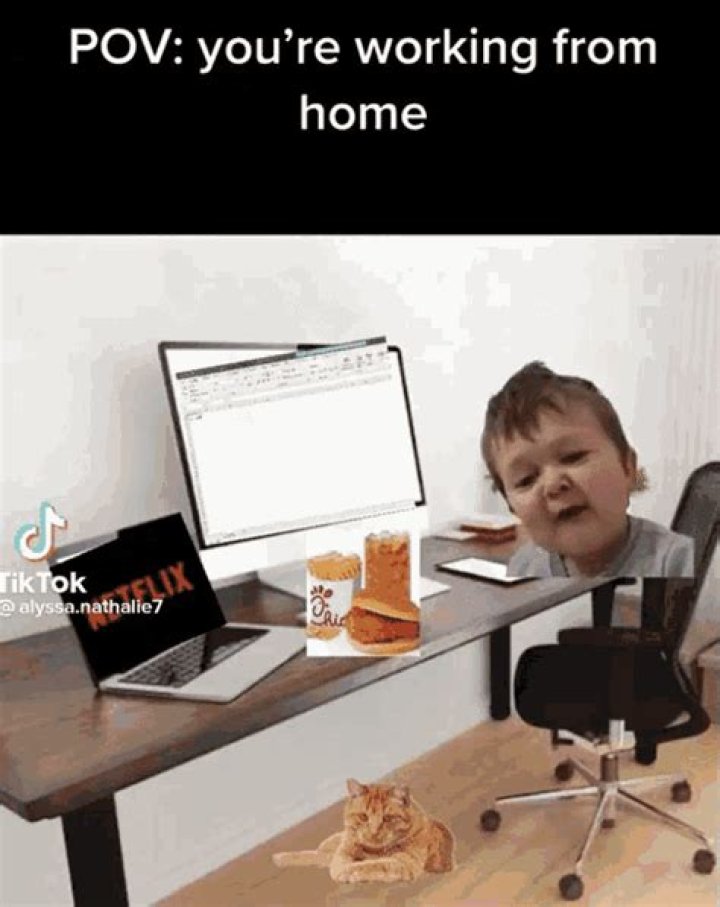 Can I work from home as a physio?