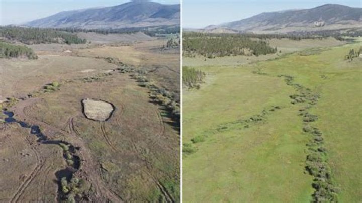 Can land be restored after strip mining?