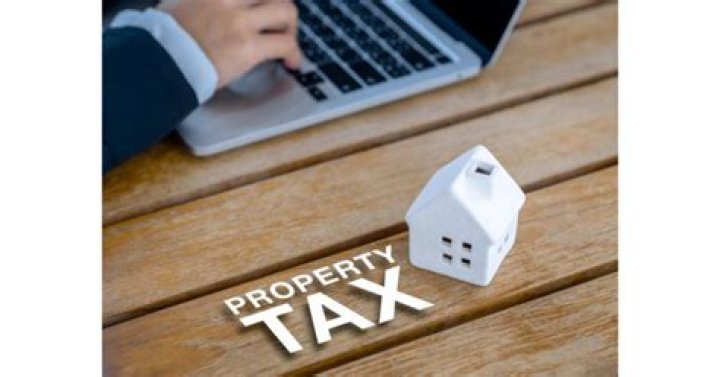Can someone take your property by paying the taxes in Alabama?