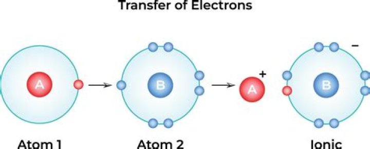 Can stock be transferred from one person to another?
