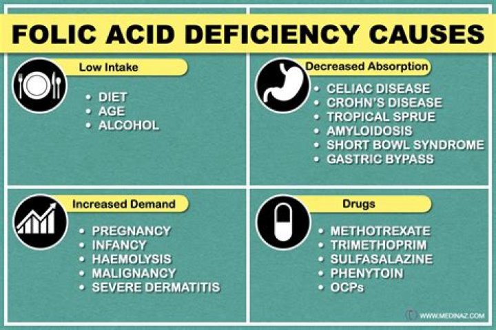 Can too much folic acid cause twins?