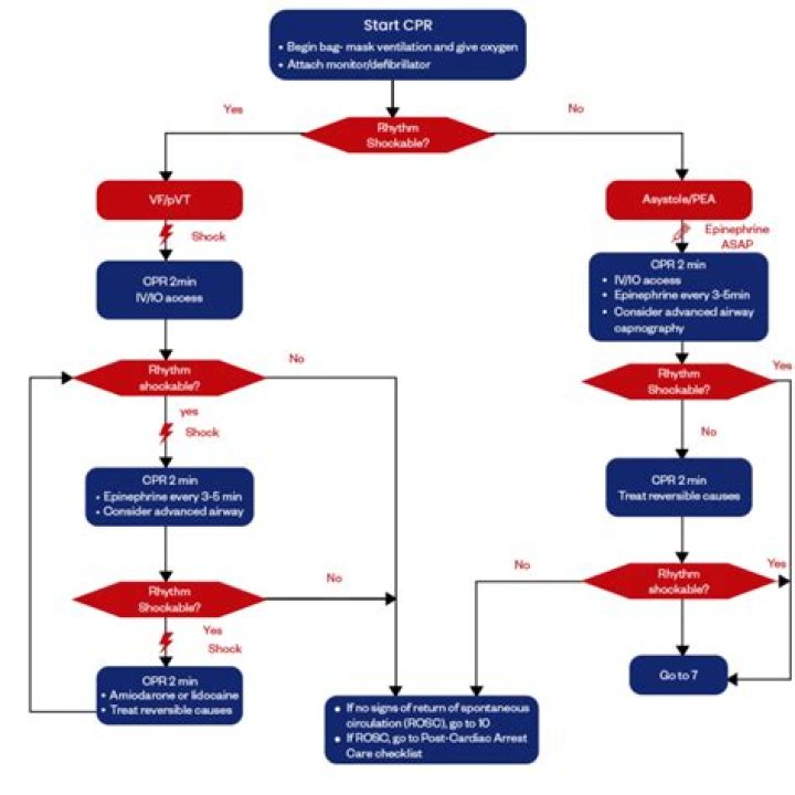 Can you be DNR and full treatment?