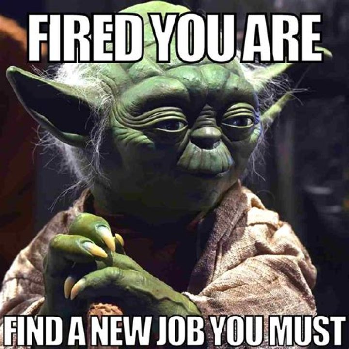 Can you be wrongly fired?