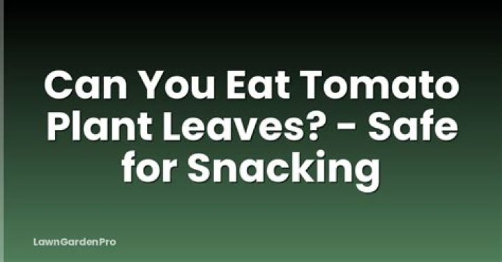 Can you eat tomato plant leaves?