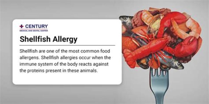 Can you have a mild allergy to shellfish?