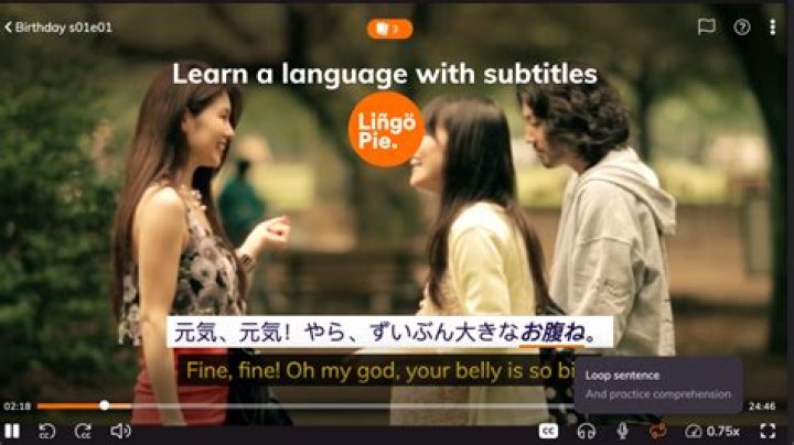 Can you learn a language by listening to music?