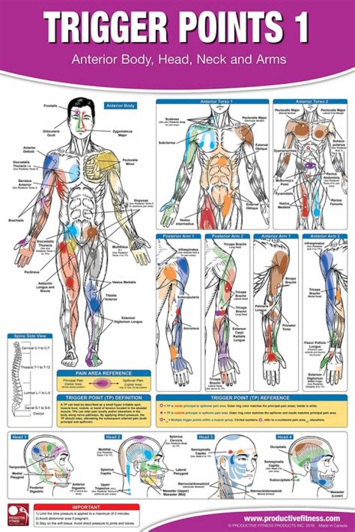 Can you massage out myofascial trigger points?