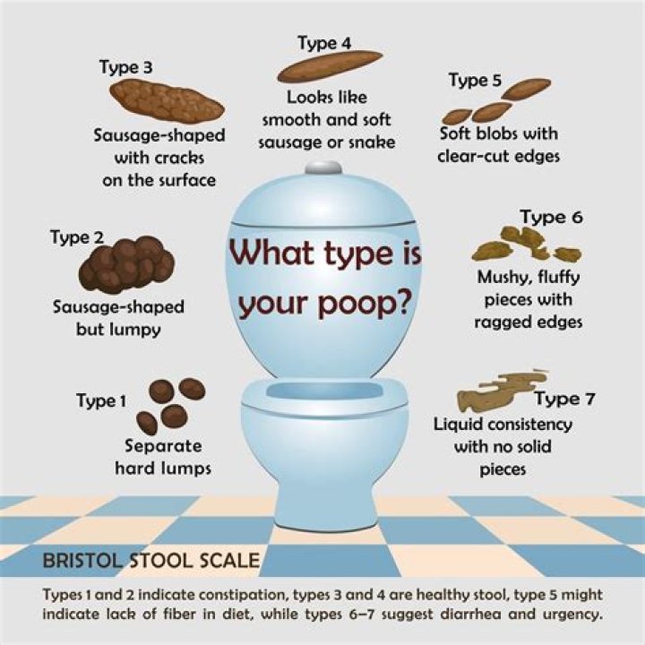 Can you poop in ocean?