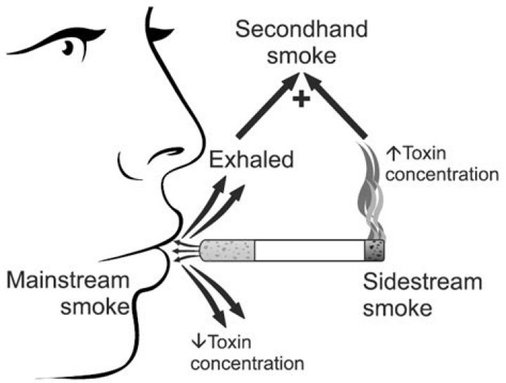 Can you reverse the effects of secondhand smoke?