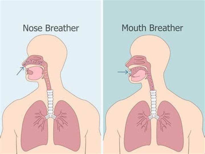 Can you train to be a nose breather?