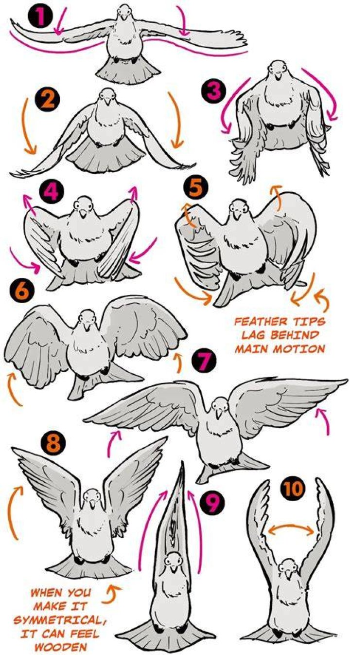 Do bird blinders work?