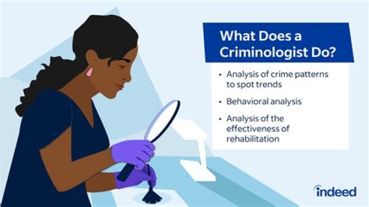 Do criminologists talk to criminals?