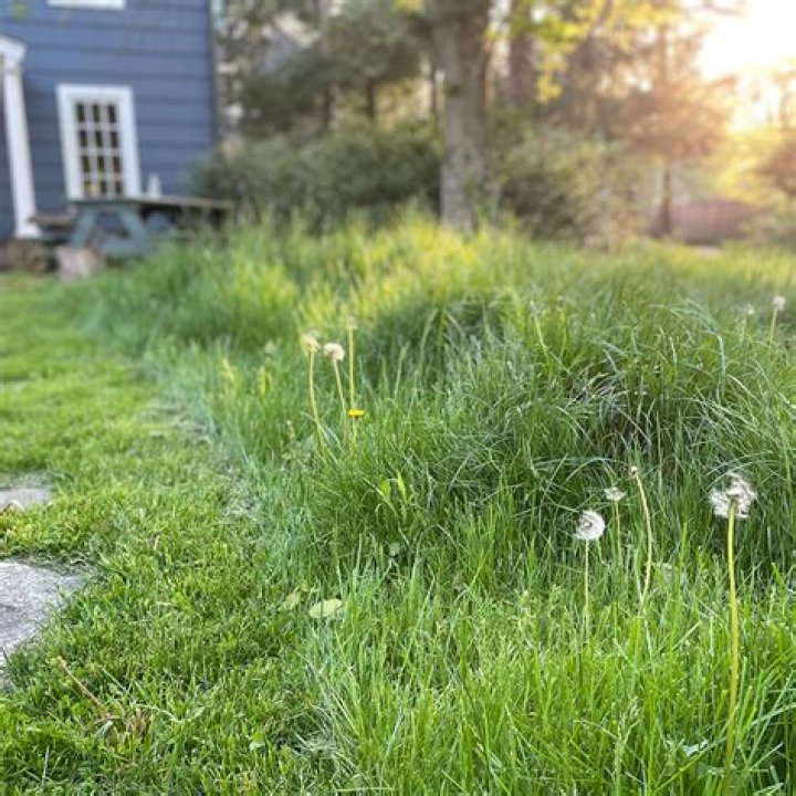 Do I have to pay US taxes if I live in Switzerland?