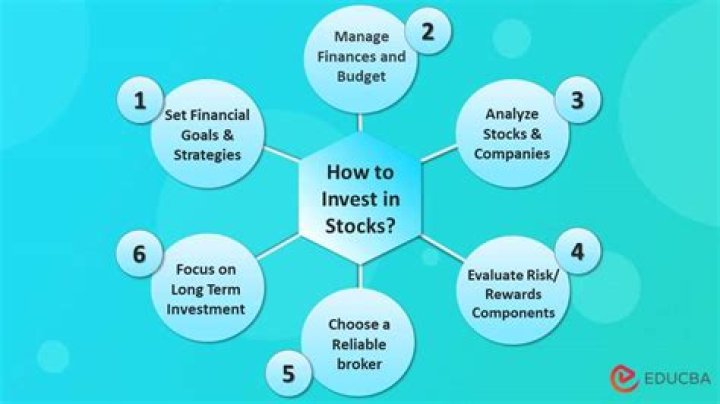 Do investors in the stock market have a beneficial or harmful effect on the companies whose stocks they buy and sell explain your position?