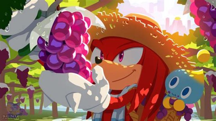 Do Knuckles love grapes?