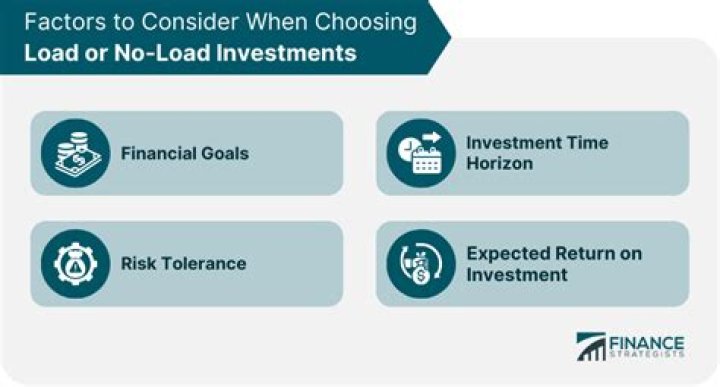 Do no load funds have higher fees?
