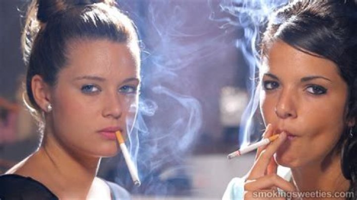 Do roaches eat cigarettes?