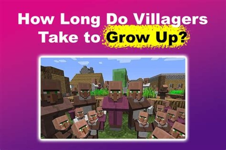 Do villagers steal your chest?