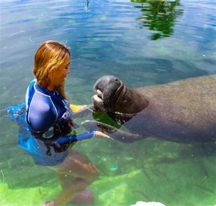 Do you need a wetsuit to swim with manatees?