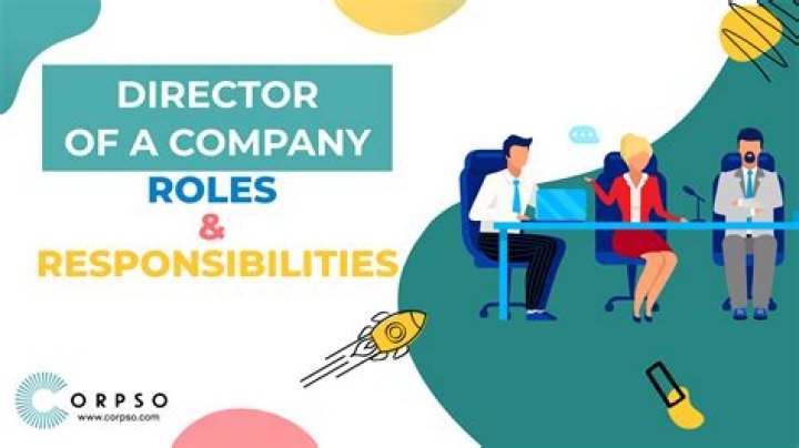 Does a director of a company need shares?