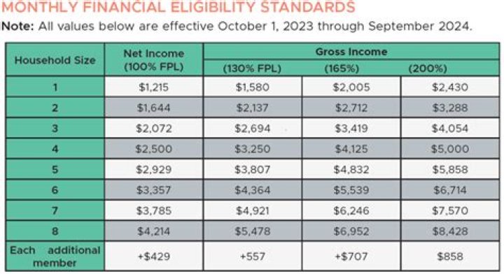 Does a summer job count as income?