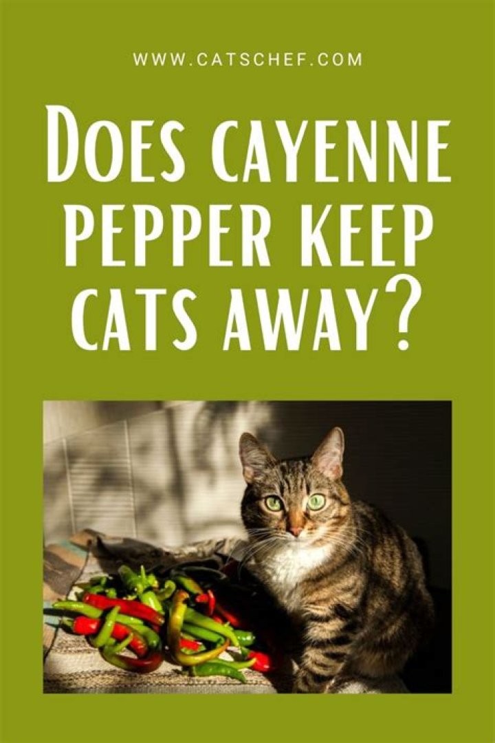 Does chilli flakes keep cats away?