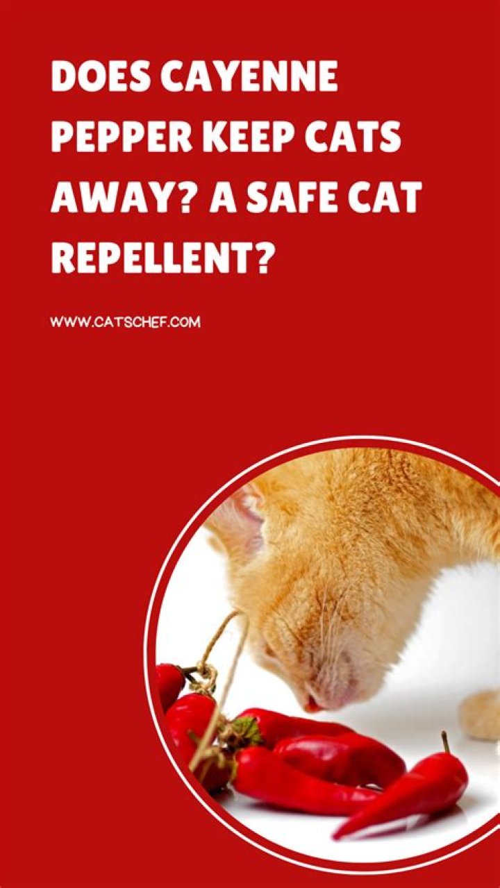 Does crushed red pepper keep cats away?