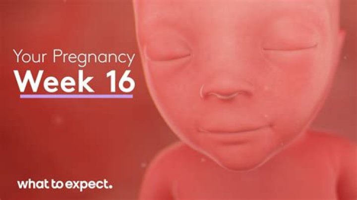 Does FMLA have to be 12 weeks?