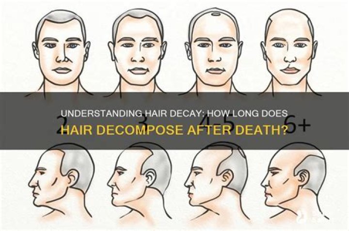 Does hair decompose after death?