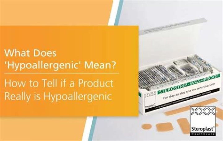 Does hypoallergenic mean?