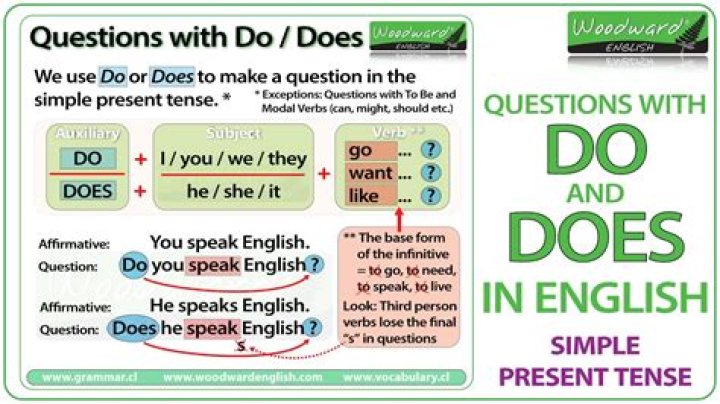 Does in a sentence question?